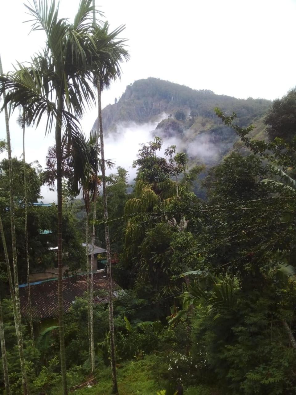 Misty Heaven Bed & Breakfast Ella Ngoại thất bức ảnh