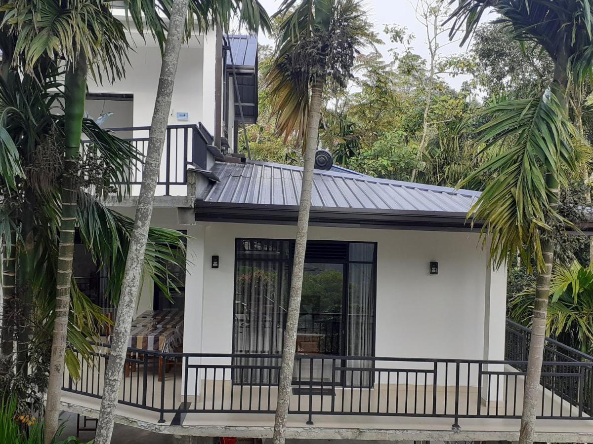 Misty Heaven Bed & Breakfast Ella Ngoại thất bức ảnh
